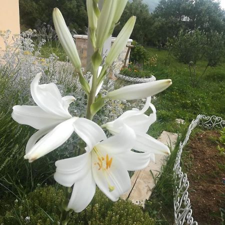 Castello Flower Apartment Kaštela Eksteriør bilde