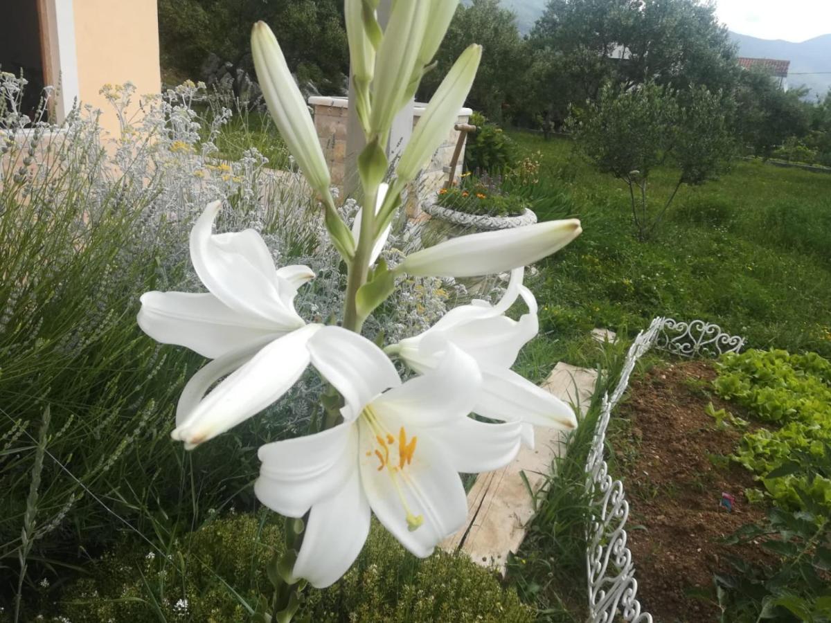 Castello Flower Apartment Kaštela Eksteriør bilde